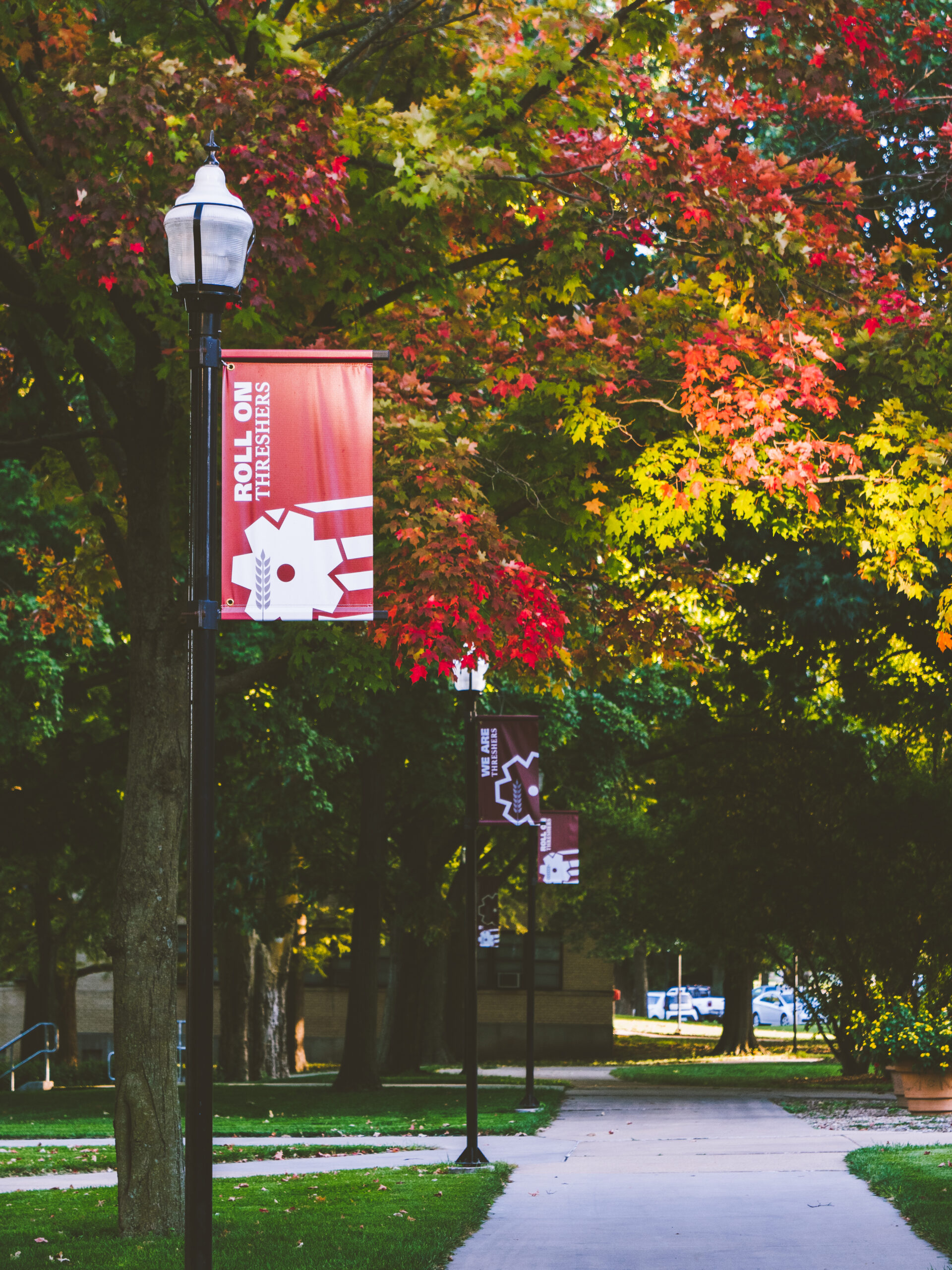 Fall leaves on campus