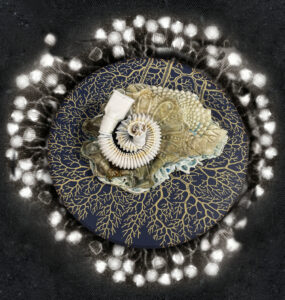 Perret exhibit examines the constancy of change in nature